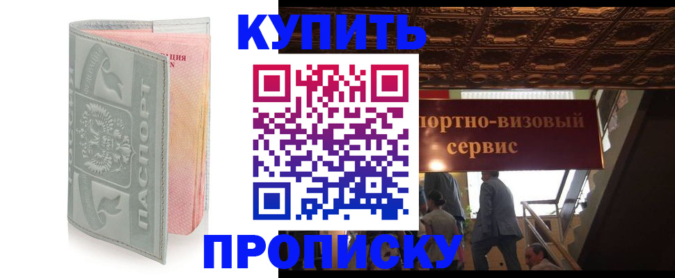 прописка поиск в Пестово